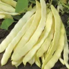 RHS Climbing French Bean Golden Gate seeds, yellow pod variety.
