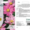 RHS Cosmos Sensation Pinkie flower seeds, pink daisy-like flowers.