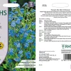 RHS Forget-Me-Not (Chinese) flower seeds, small blue blooms.
