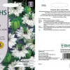 RHS Nigella Miss Jekyll Alba flower seeds, delicate white flowers.