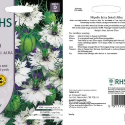 RHS Nigella Miss Jekyll Alba flower seeds, delicate white flowers.
