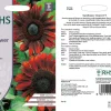 RHS Sunflower Claret F1 flower seeds, tall red-purple sunflowers.
