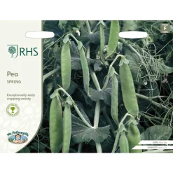 RHS Pea Spring seeds, early green pea pods.