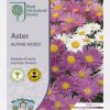 RHS Aster Alpine Mixed flower seeds, colorful alpine blooms.